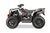 Polaris Scrambler 1000