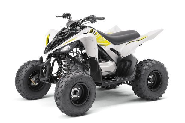 YAMAHA RAPTOR 90 2017年モデル 四輪バギー ATV ITYASUNUFEEV5RFJNYNGETJS4E.jpg