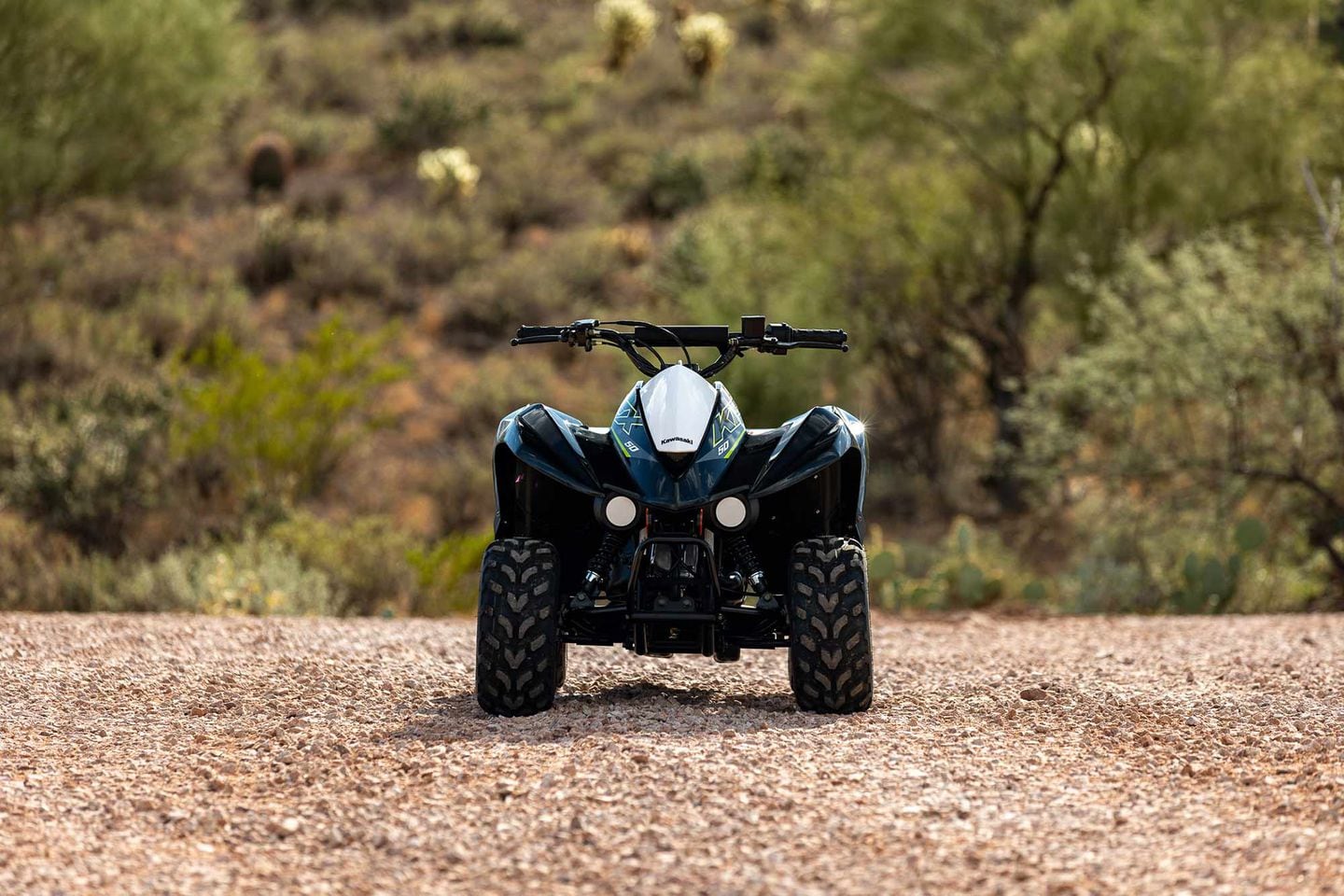 K K 2022 Kawasaki Z 50th Anniversary | First Look Review | Rider Magazine