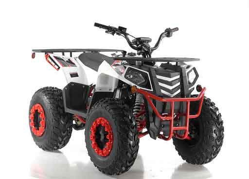 NextImg:$30K in Dirt Bikes and Quads Stolen From North Carolina Dealer