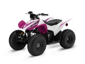 ホンダ　X4 力強い走り味を実現する1300ccエンジンを搭載した精悍で迫力ある