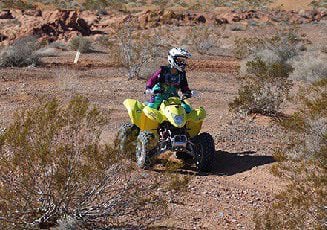 The Logandale Trails in Nevada.