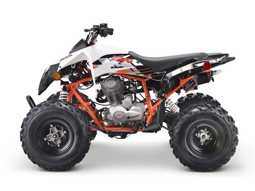 2023 Kayo Jackal 200 Buyer's Guide: Specs, Photos, Price | ATV Rider