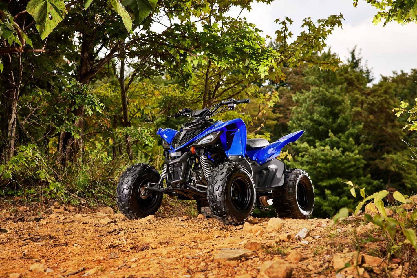2022 Yamaha Raptor 90 Buyer's Guide: Specs, Photos, Price | ATV Rider