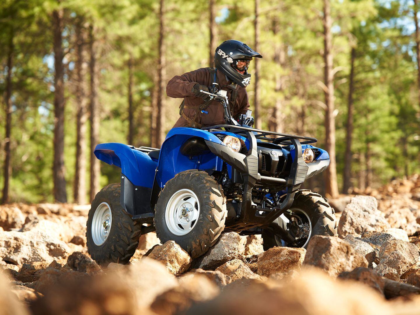 Fourth Annual Large Tread Lightly! Charity Auction Now Live on eBay