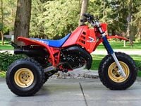 Honda 250 trike online