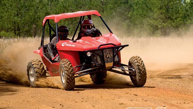 BuG「red rip XTC」 The red fire bug, another invasive insect | Ag Proud