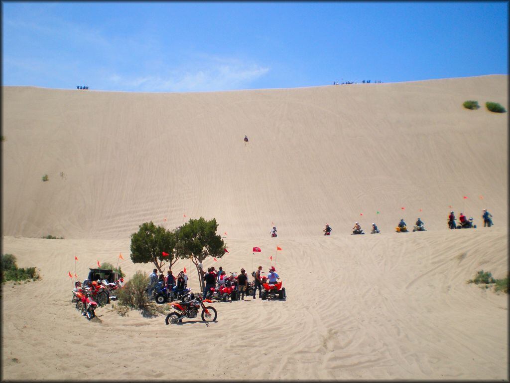 Dunes as high as 400 feet litter the St. Anthony sand dunes.